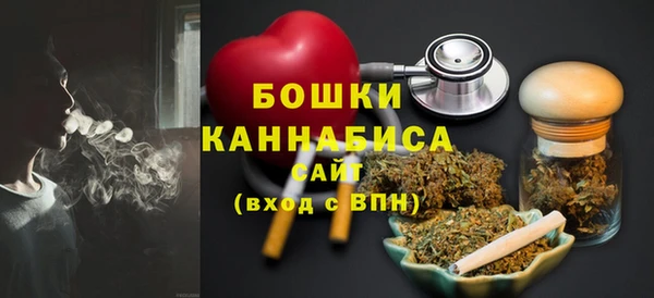 ГАЛЛЮЦИНОГЕННЫЕ ГРИБЫ Богданович